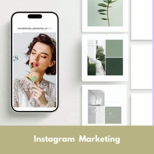 Instagram & Influencer Marketing Onlinekurs
